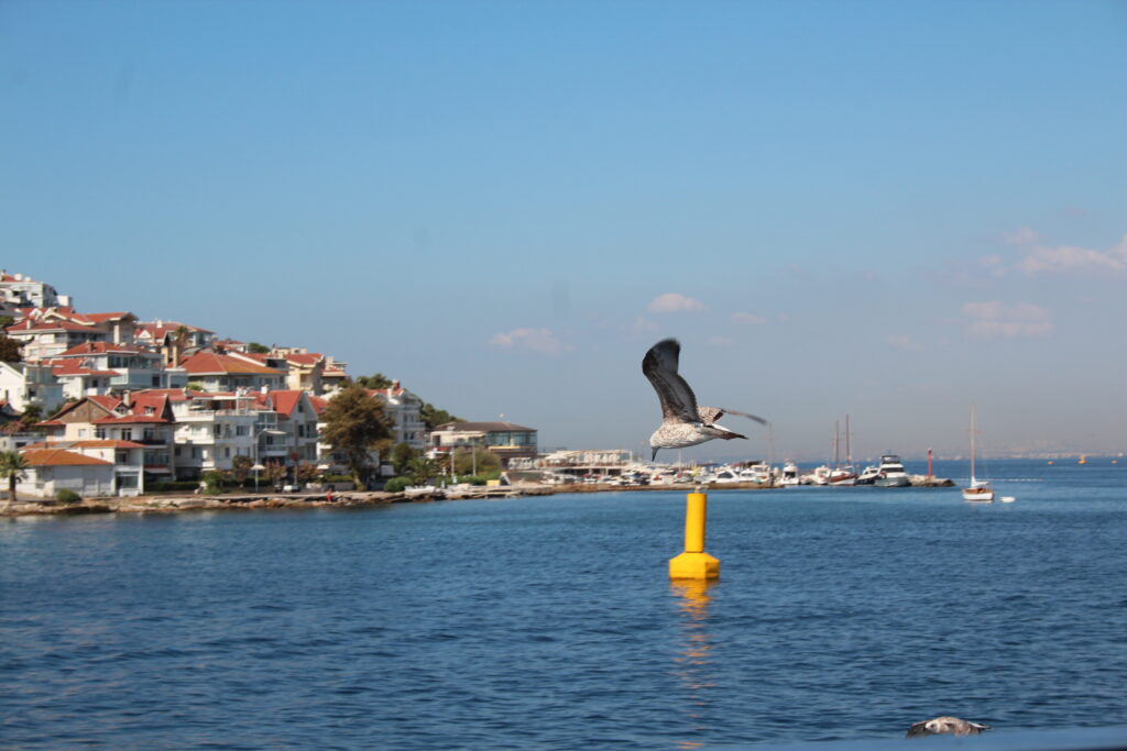 Istanbul, photo 5 of 30