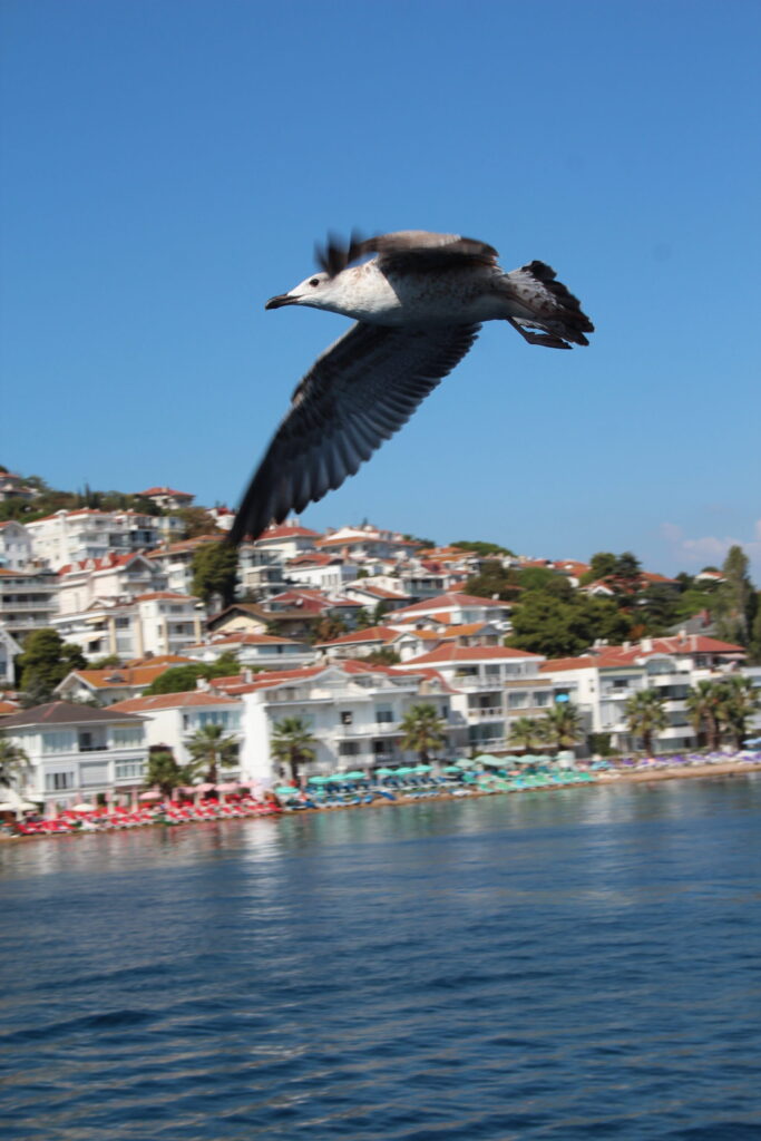 Istanbul, photo 6 of 30