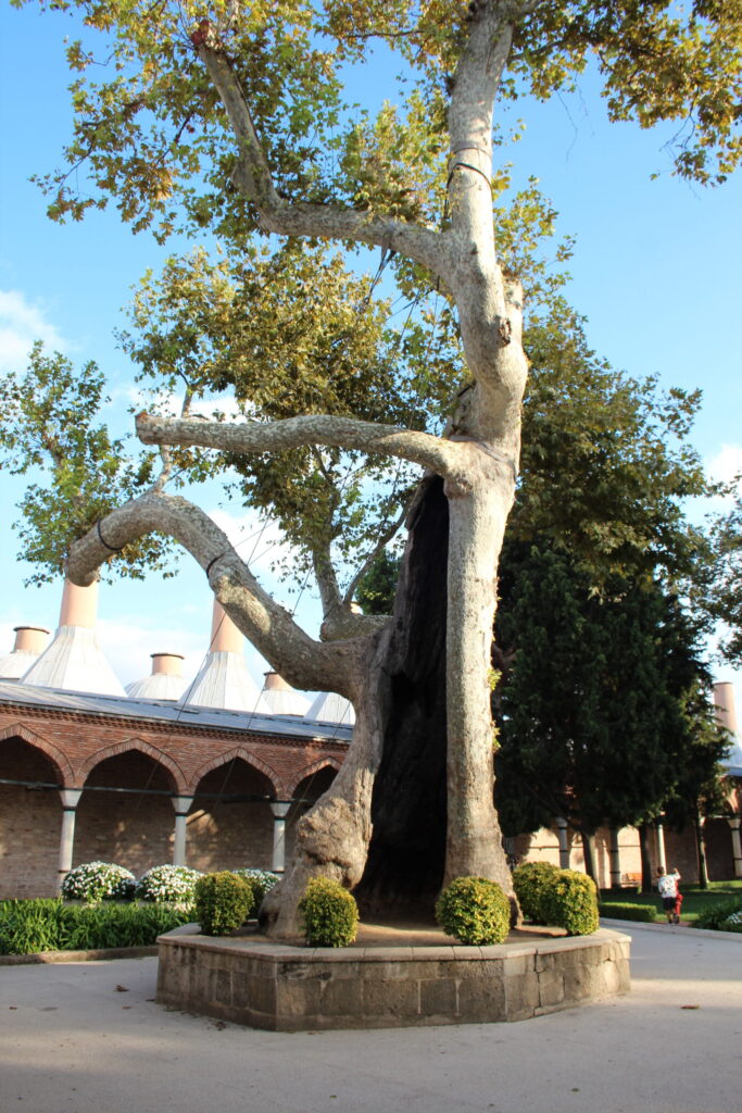 Istanbul, photo 29 of 30