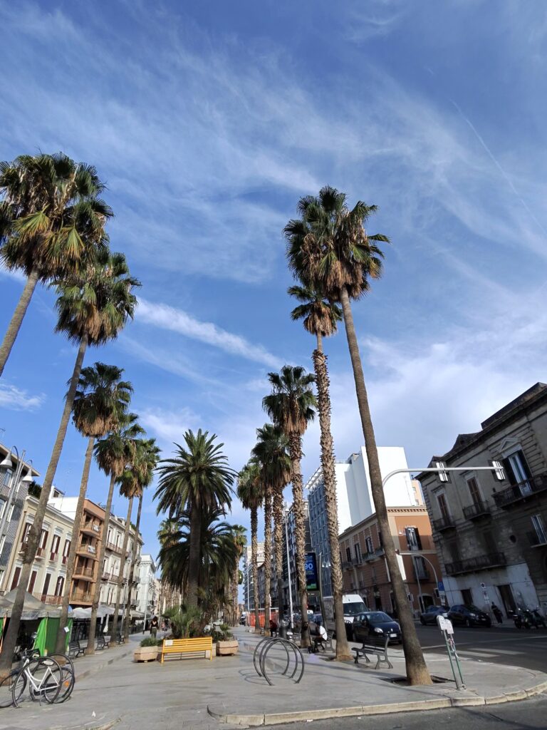 Bari, photo 6 of 7