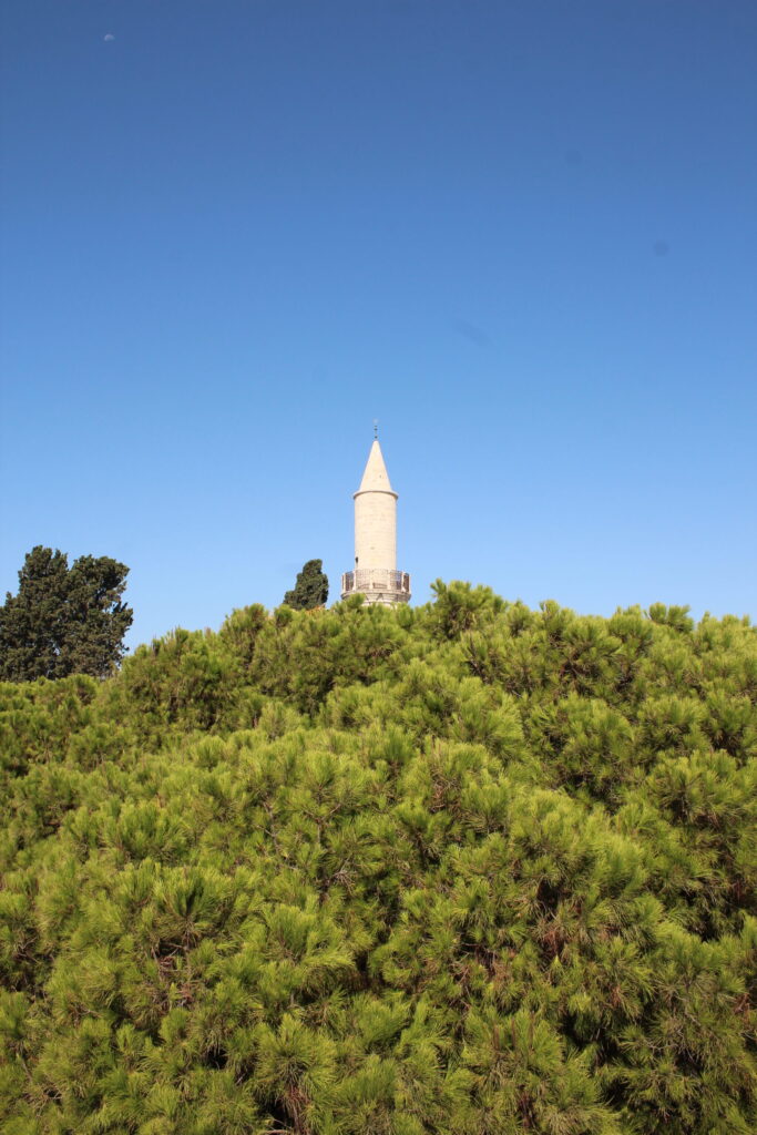 Larnaca, photo 6 of 23